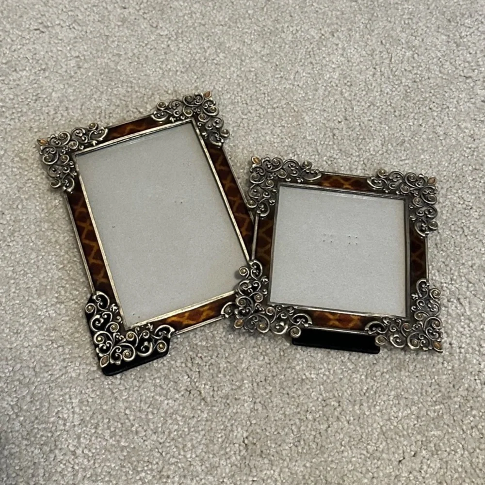 COPY - ADORABLE leopard & metal frames!!